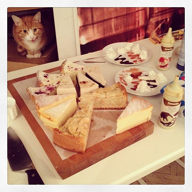 Nocna sesja pysznych ciast. Kotu najbardziej smakuje bita śmietana, Michałowi sernik, a  mnie powaliła szalotka:-)
